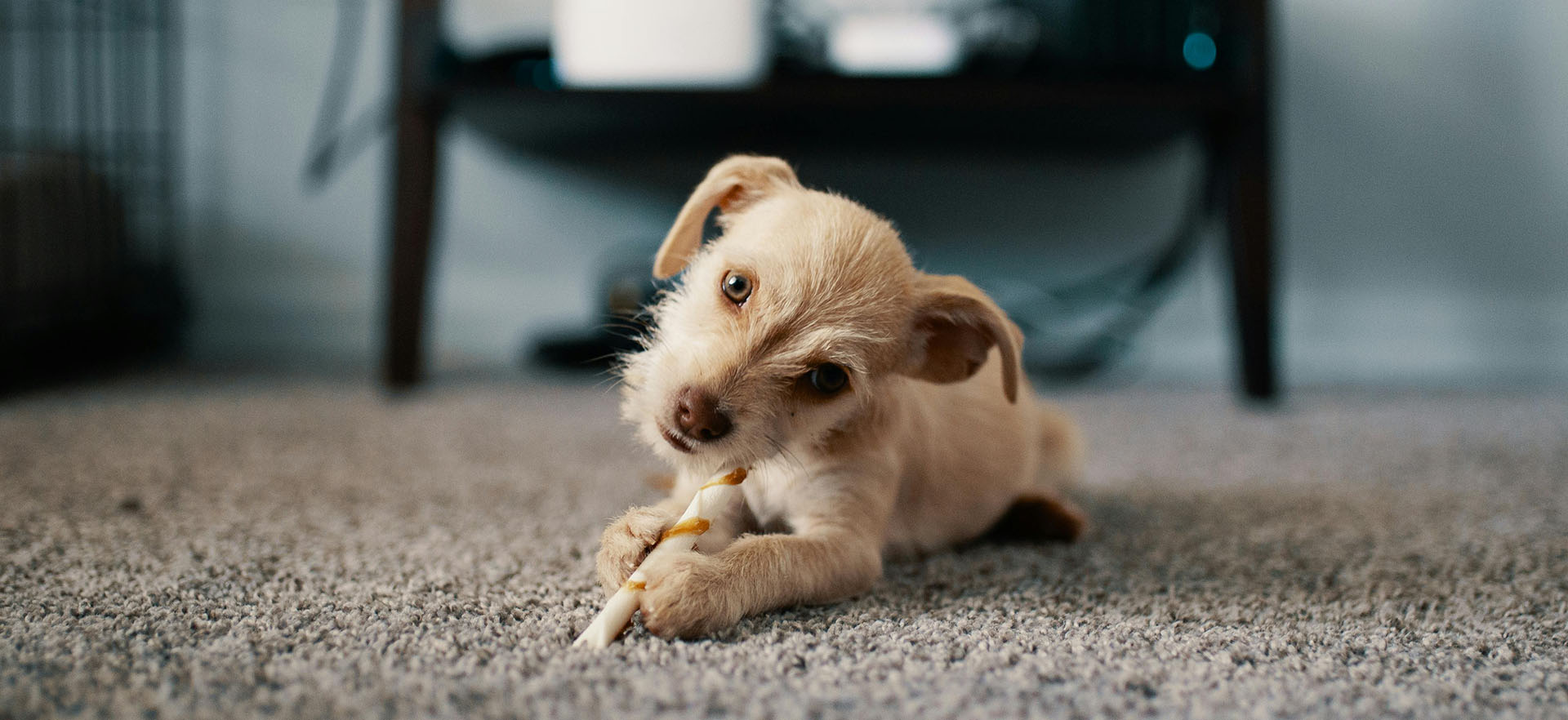 B C Cleaners - header